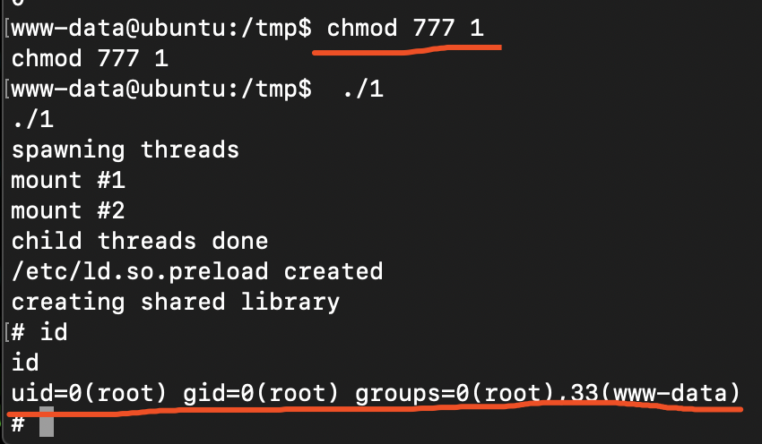 image-20200229192551692