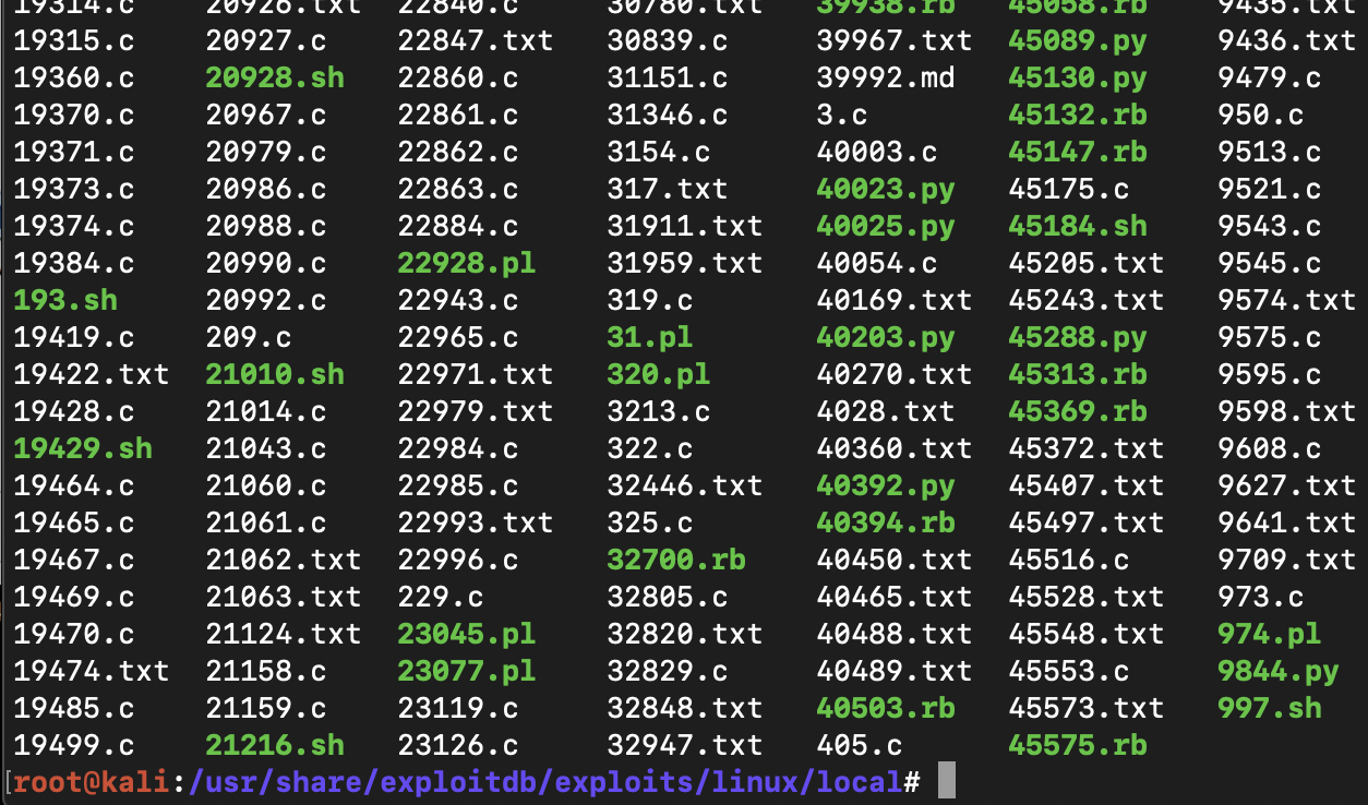 image-20200301173909301