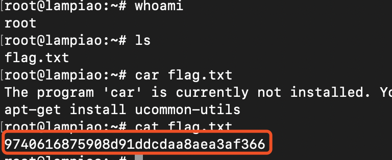 image-20200301174904144