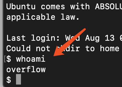 image-20200302204912179