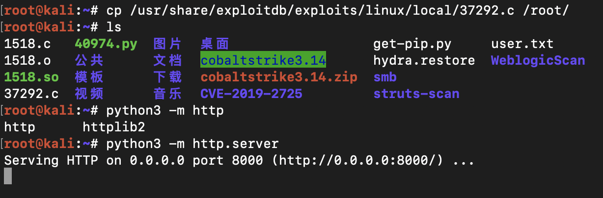 image-20200302210024549