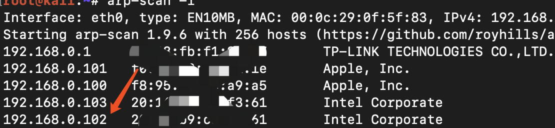 image-20200305194543215