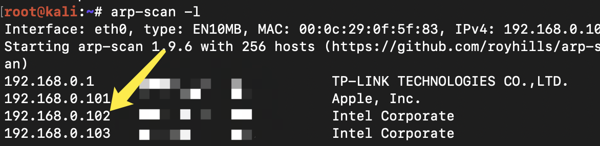 image-20200307161830148