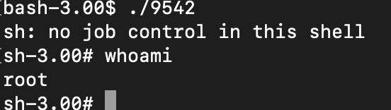 image-20200307173559780