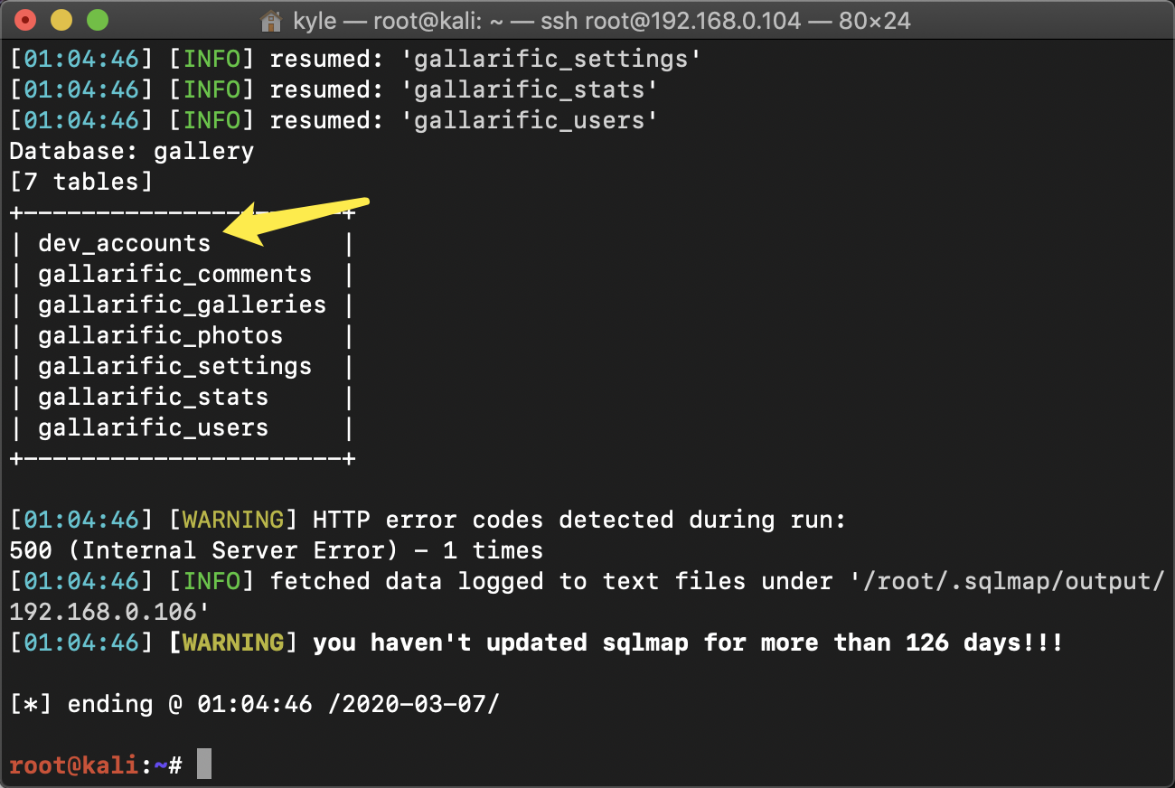 image-20200307183256152