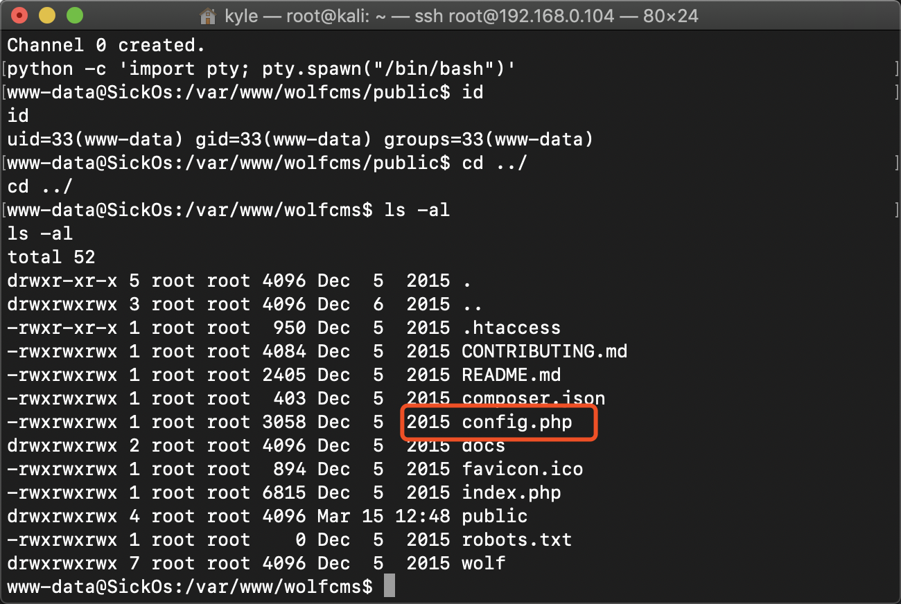 image-20200315152649835